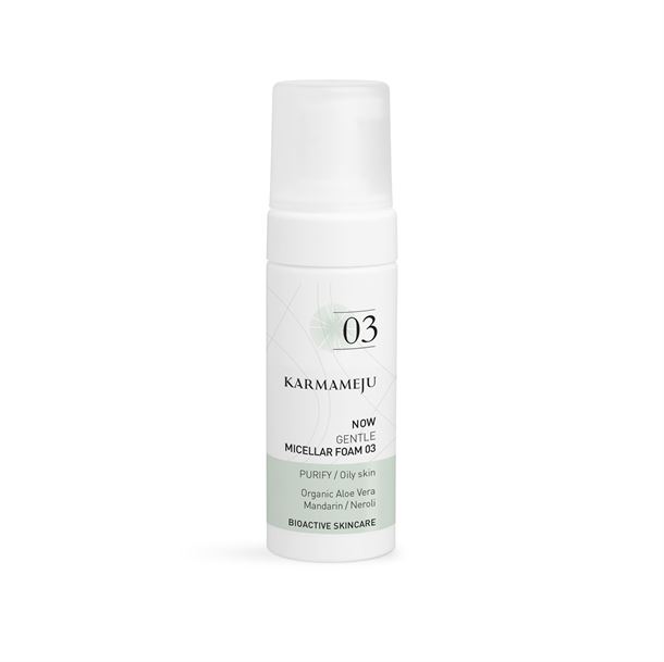 KARMAMEJU NU GENTLE MICELLAR FOAM 03